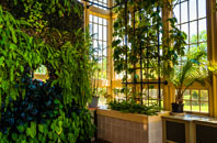 Chiltern Green orangery installation